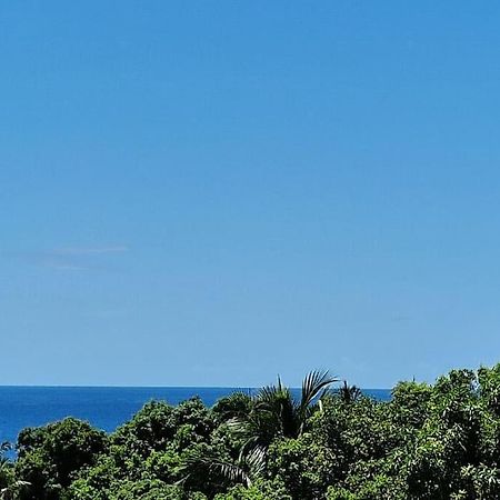 Joli T2 En Bas De Villa Vue Jardin Et Mer Вьё-Абитан Экстерьер фото